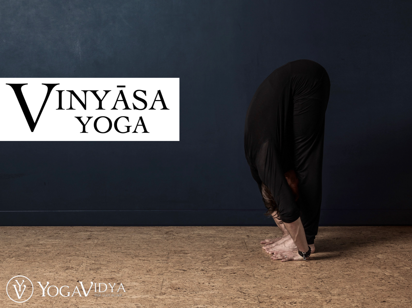 Cous de Vinyasa Yoga en ligne - Yogavidya.fr - Alex Blake