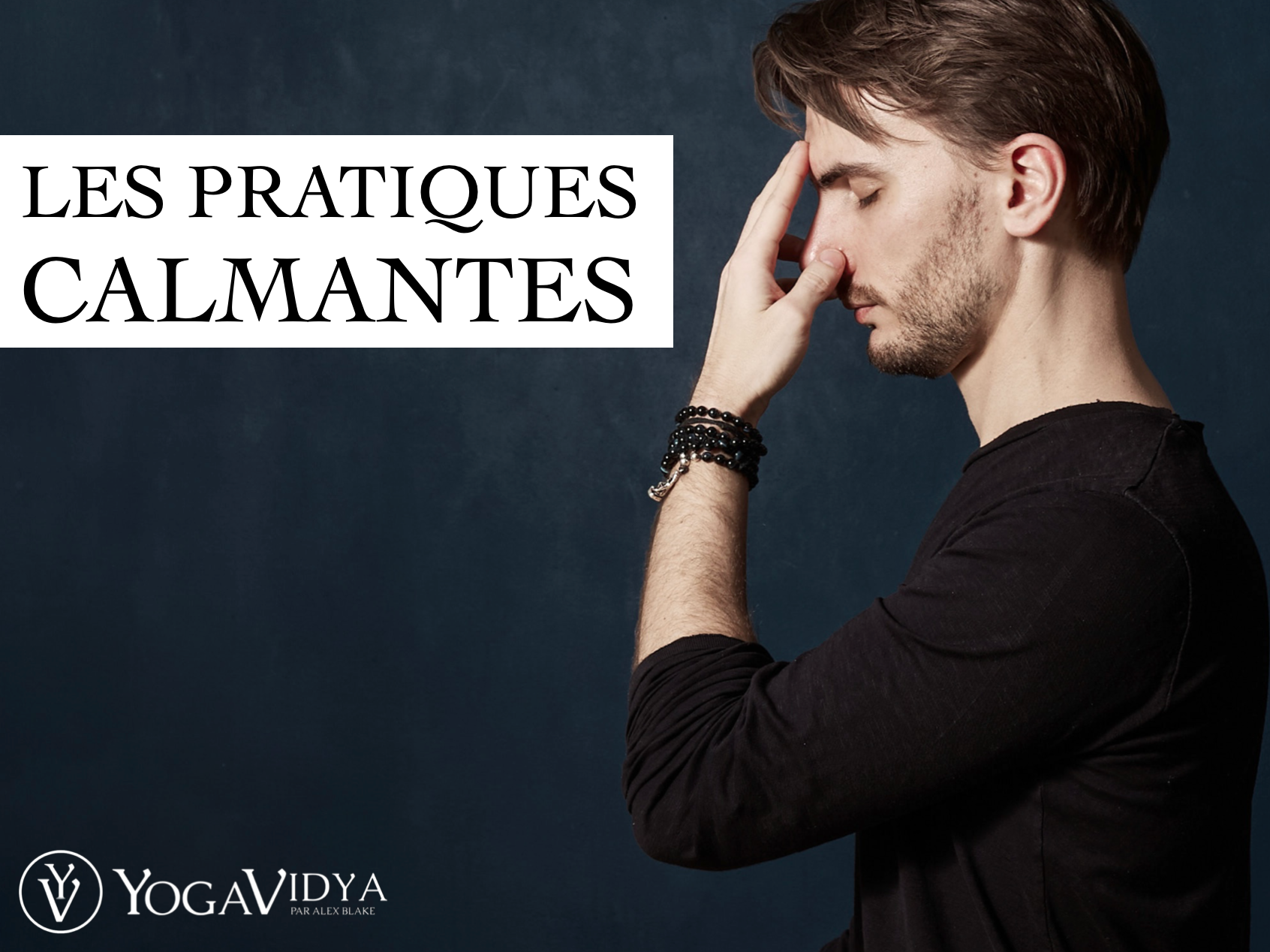 Cours de Pranayama - Yogavidya.fr - Alex Blake Yoga