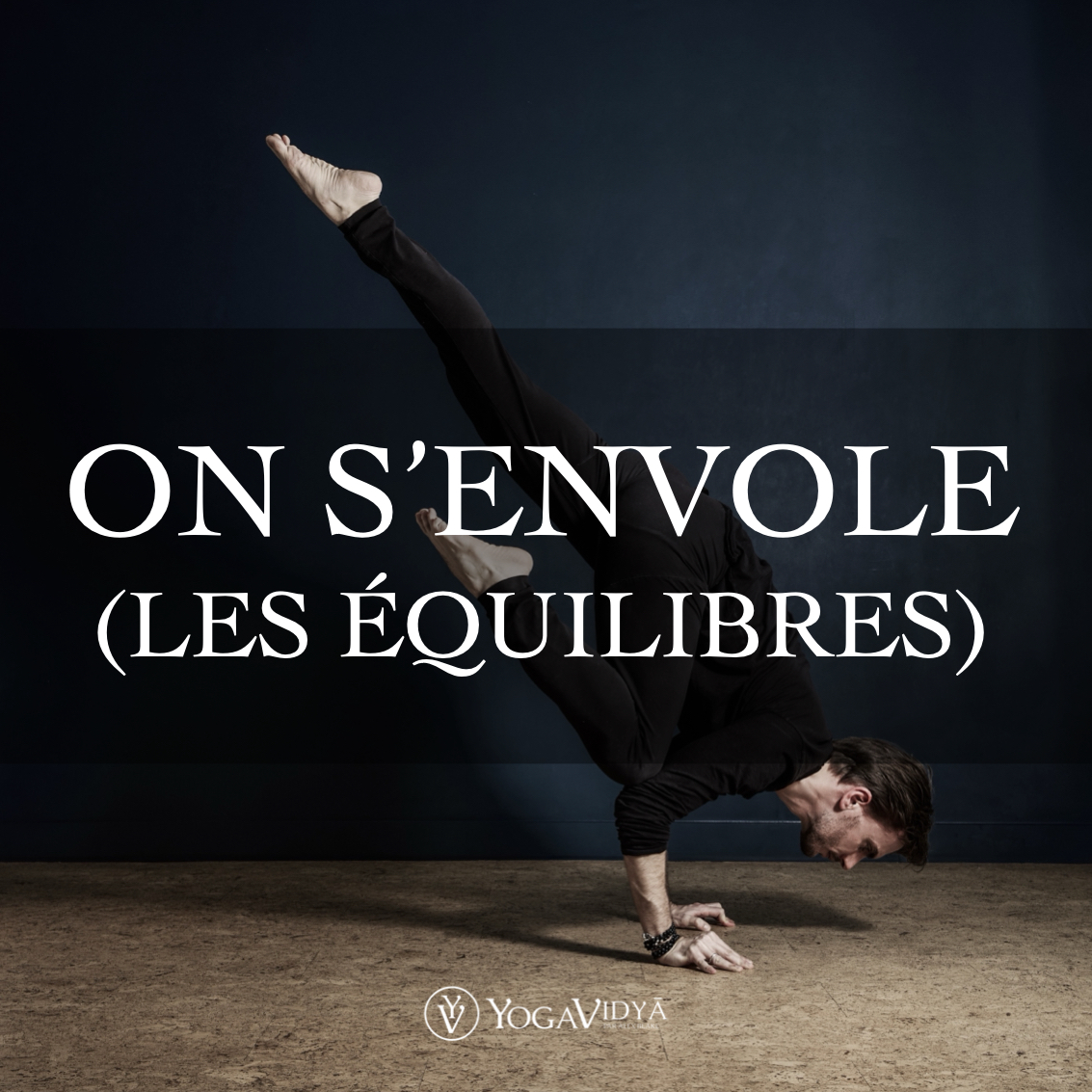 Cours d'équilibre et armbalance en ligne - yogavidya.fr - Alex Blake Yoga